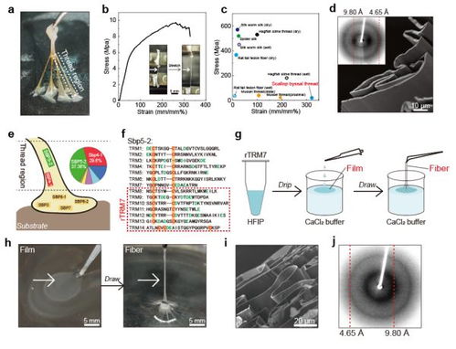近期生物材料頂刊成果中的磁電及磁性材料研發(fā)進(jìn)展匯總